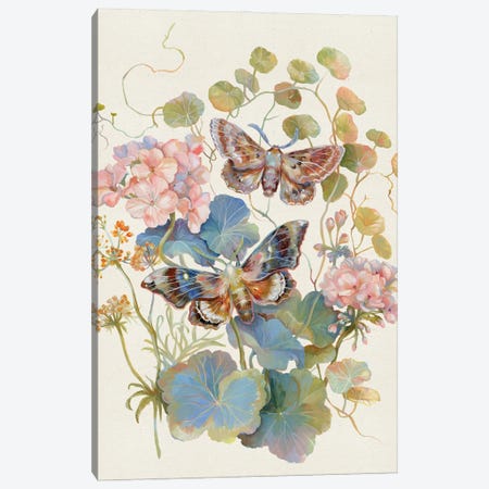 Floral Moth Geranium Canvas Print #CMT29} by Clara McAllister Canvas Art