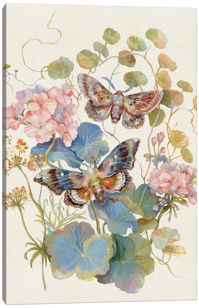 Floral Moth Geranium Canvas Art Print - Clara McAllister