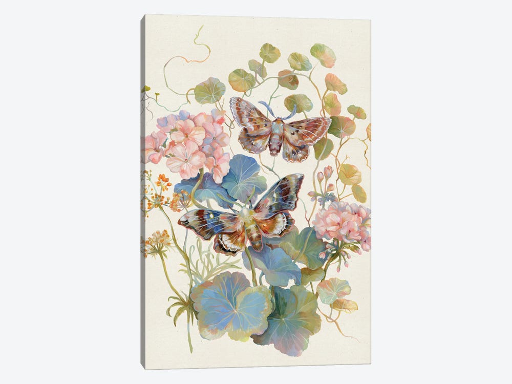 Floral Moth Geranium by Clara McAllister 1-piece Canvas Print