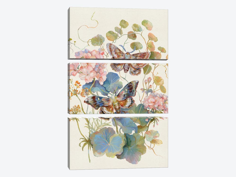Floral Moth Geranium by Clara McAllister 3-piece Canvas Print