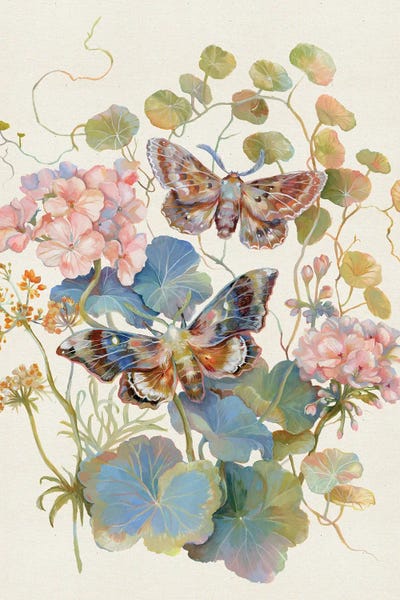 Moths: Floral Moth Geranium by Clara McAllister