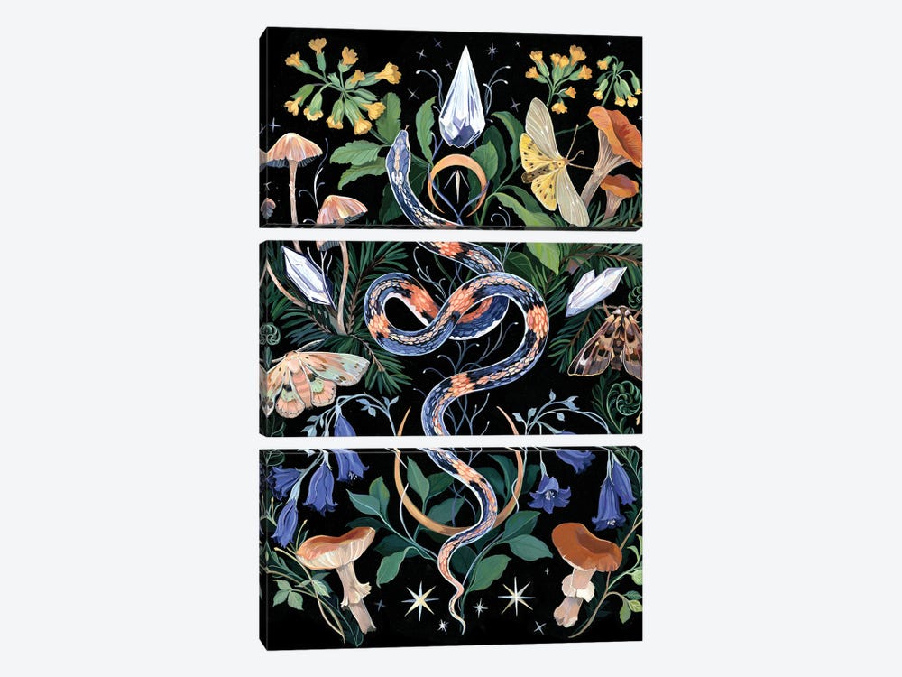 Mushroom Snake Garden by Clara McAllister 3-piece Canvas Wall Art