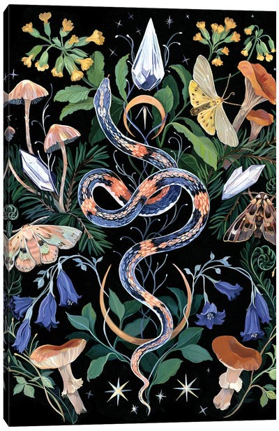 Mushroom Snake Garden Canvas Art Print - Snake Art