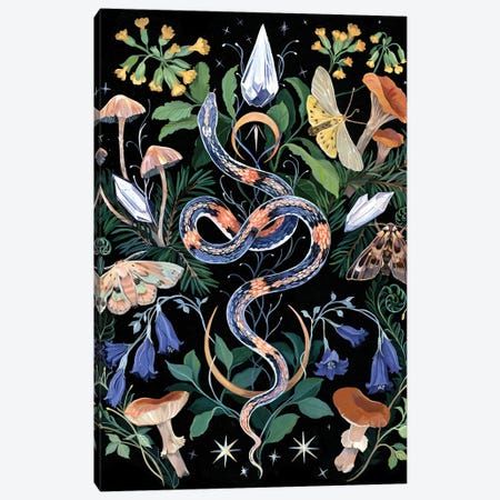 Mushroom Snake Garden Canvas Print #CMT2} by Clara McAllister Art Print