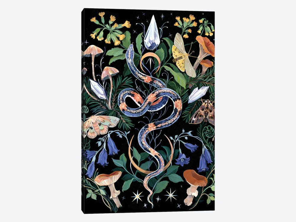 Mushroom Snake Garden by Clara McAllister 1-piece Canvas Artwork
