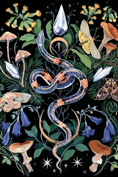Snakes: Mushroom Snake Garden by Clara McAllister
