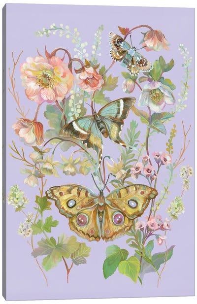 Lilac Butterfly Garden Canvas Art Print - Perano Art