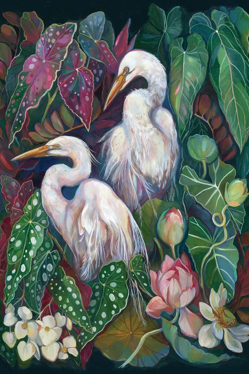 Egret Begonias