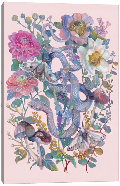 Snake Pink Floral Garden Canvas Art Print - Reptile & Amphibian Art