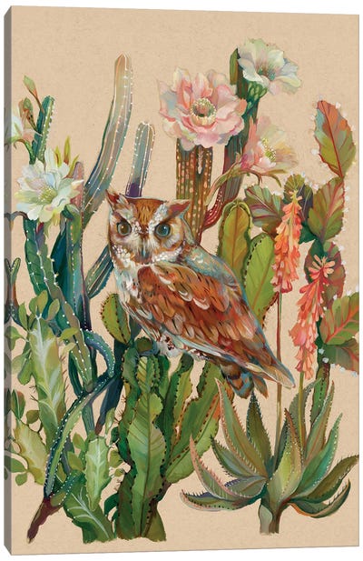 Desert Owl Canvas Art Print - Tan Art
