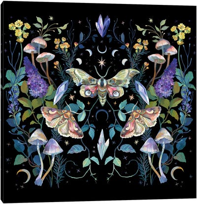 Mystical Crystals Canvas Art Print - Insect & Bug Art