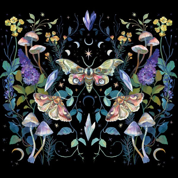 Moths: Mystical Crystals by Clara McAllister