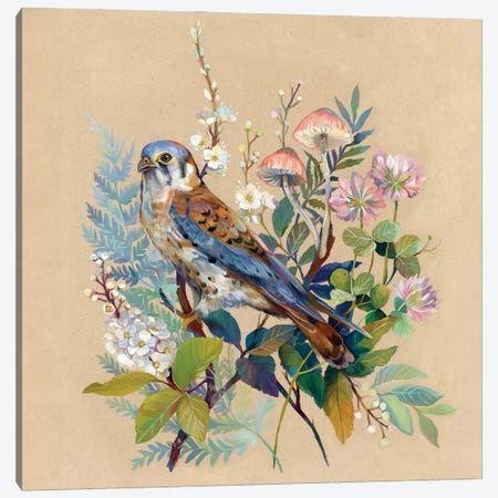 Floral Falcon Canvas Print #CMT37} by Clara McAllister Canvas Wall Art