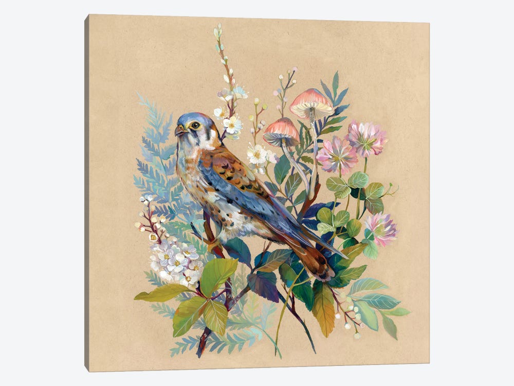 Floral Falcon by Clara McAllister 1-piece Canvas Artwork