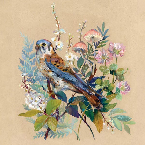 Cozy Cottage: Floral Falcon by Clara McAllister