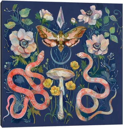 Snakes Crystal Moth Canvas Art Print - Mushroom Art