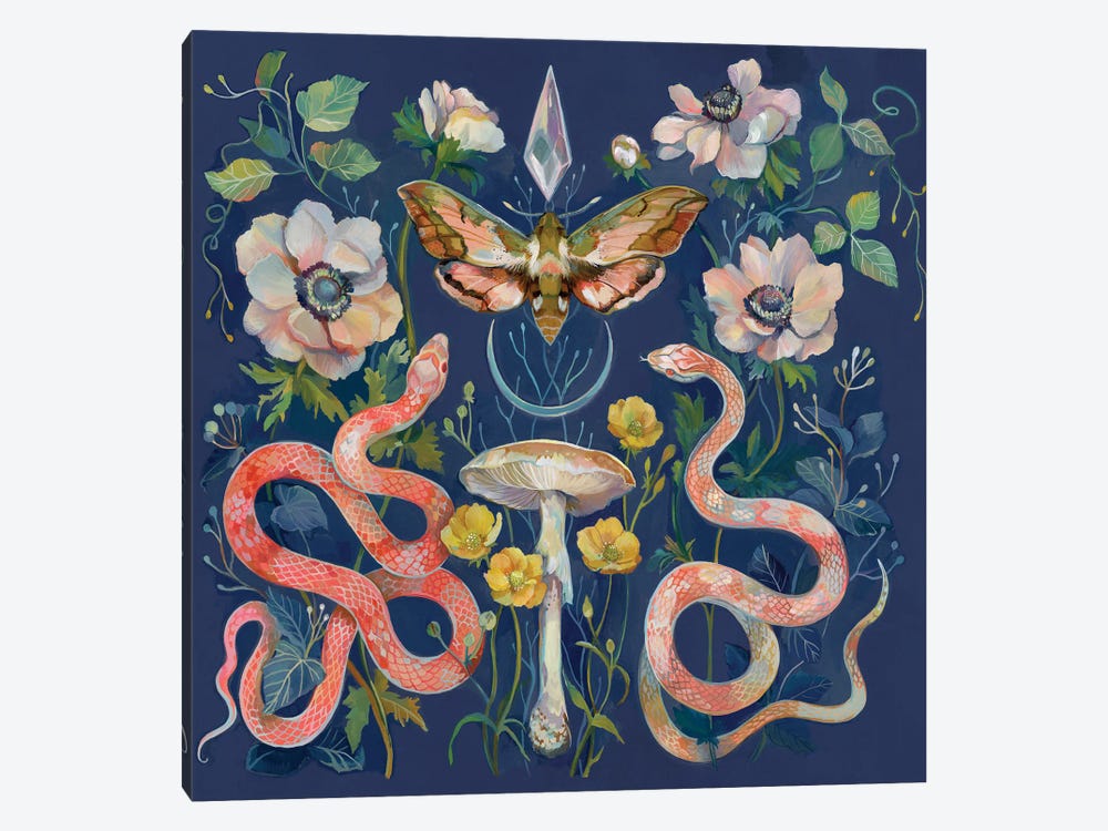 Snakes Crystal Moth by Clara McAllister 1-piece Canvas Print