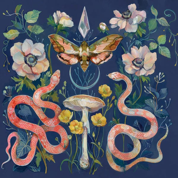 Moths: Snakes Crystal Moth by Clara McAllister