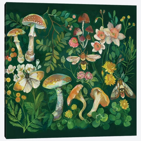 Mushroom Garden Green Canvas Print #CMT39} by Clara McAllister Canvas Art Print