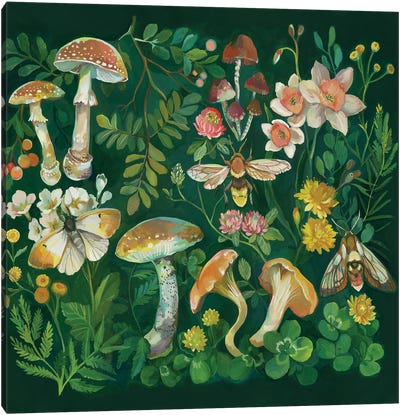 Mushroom Garden Green Canvas Art Print - Mushroom Art