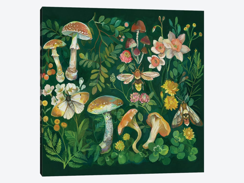 Mushroom Garden Green by Clara McAllister 1-piece Canvas Wall Art