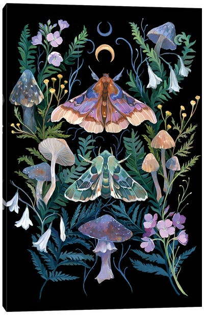 Sphinx Moth Canvas Art Print - Mushroom Art