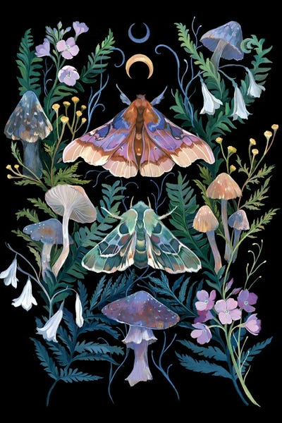 Animal Lover: Sphinx Moth by Clara McAllister