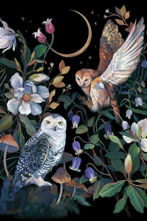 Magnolia And Owls