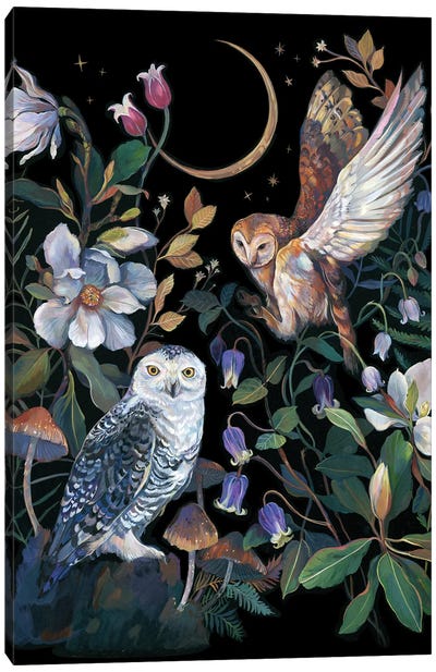 Magnolia And Owls Canvas Art Print - Crescent Moon Art