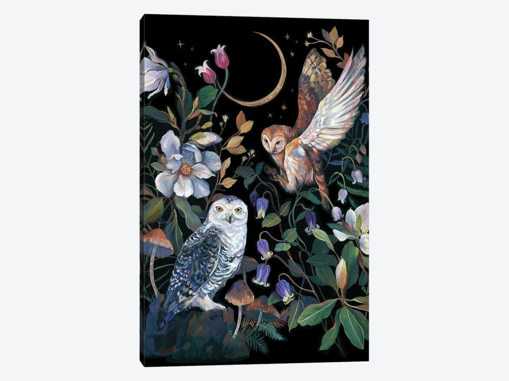 Magnolia And Owls by Clara McAllister 1-piece Canvas Art Print