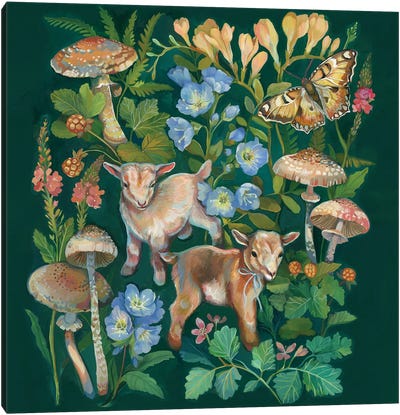 Goats Mushroom Garden Canvas Art Print - Clara McAllister