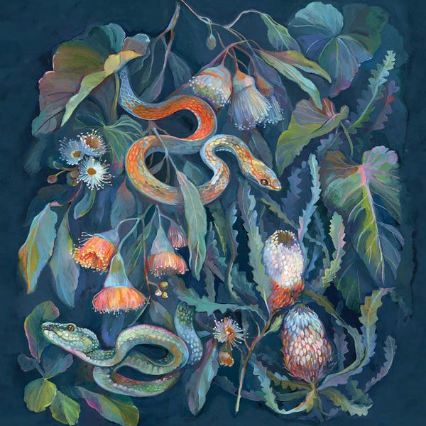 Tropical Décor: Tropical Snakes by Clara McAllister