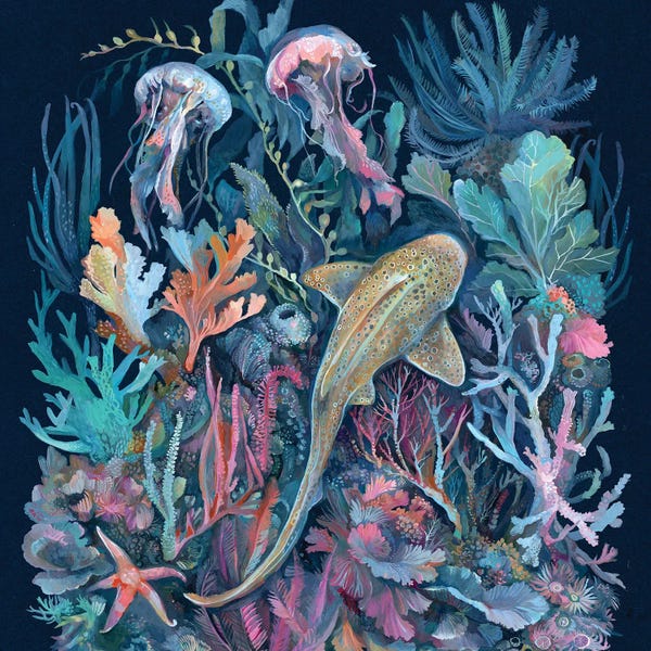 Sharks: Corals by Clara McAllister