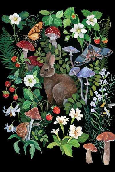 Moths: Rabbit And Strawberries by Clara McAllister