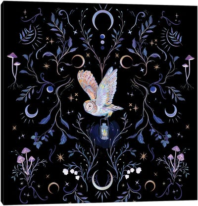 Moonlight Owl Canvas Art Print - Mysticism