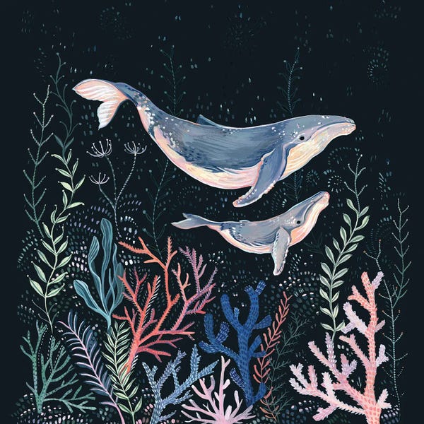 Humpback Whales: Whales And Coral by Clara McAllister