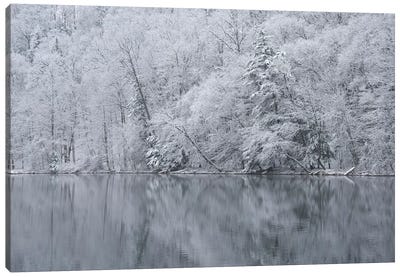 USA, New York State. Snow covered trees and reflection, Green Lakes State Park Canvas Art Print