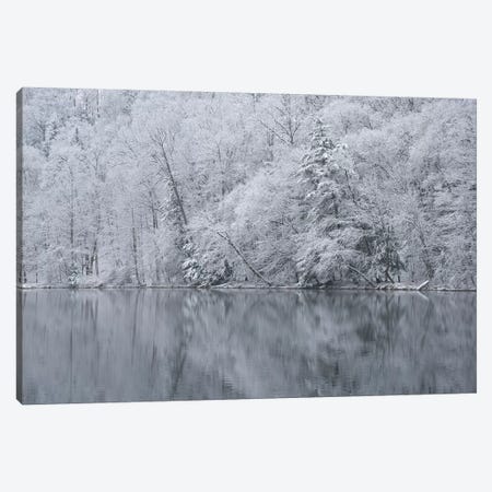 USA, New York State. Snow covered trees and reflection, Green Lakes State Park Canvas Print #CMU8} by Chris Murray Canvas Artwork