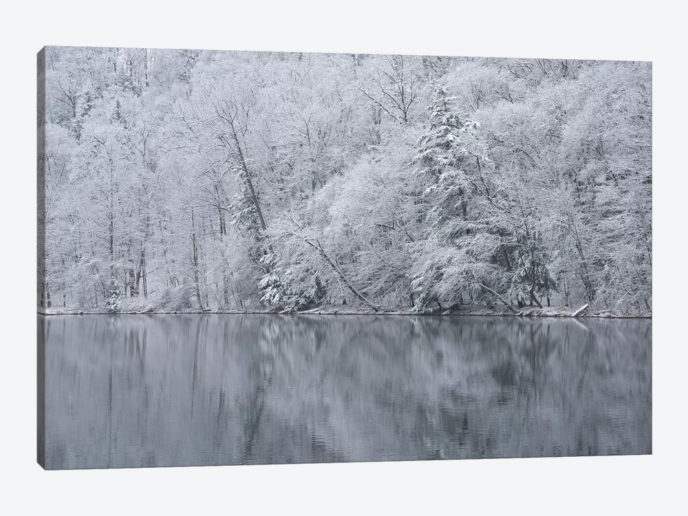 USA, New York State. Snow covered trees and reflection, Green Lakes State Park by Chris Murray 1-piece Art Print