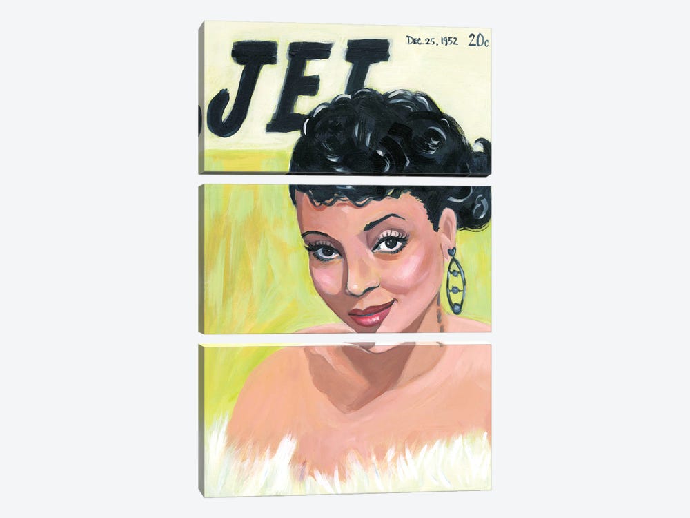 Jet Cover II by Cathi Mingus 3-piece Canvas Art