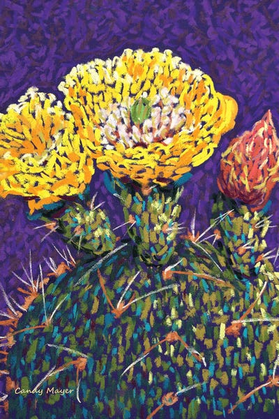 Prickly Pear Flower by Candy Mayer framed wall art