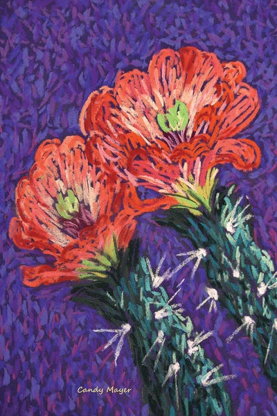 Latin Décor: Cholla Flowers by Candy Mayer