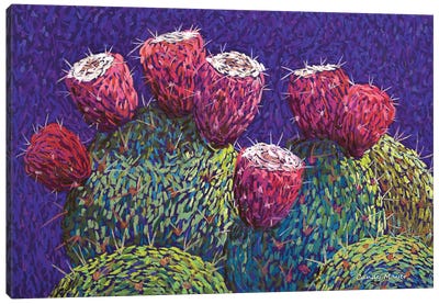 Prickly Pear Fruit Canvas Art Print - Latin Décor