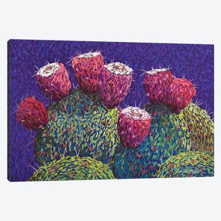 Prickly Pear Fruit Canvas Print #CMY115} by Candy Mayer Canvas Art