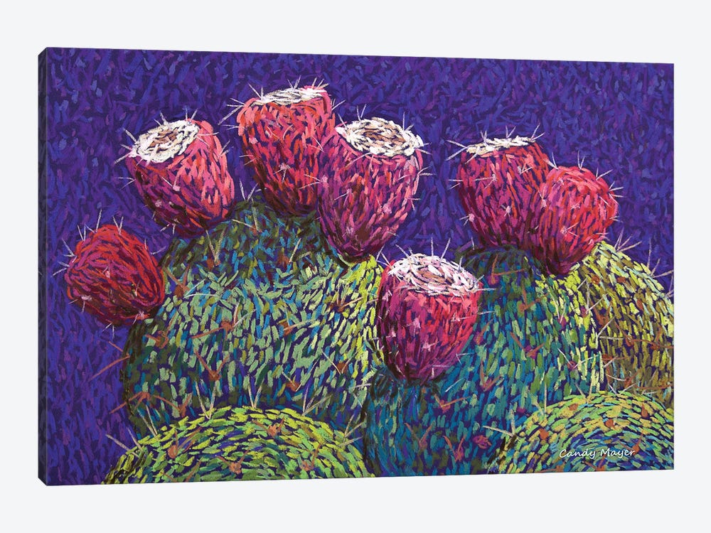 Prickly Pear Fruit by Candy Mayer 1-piece Canvas Art