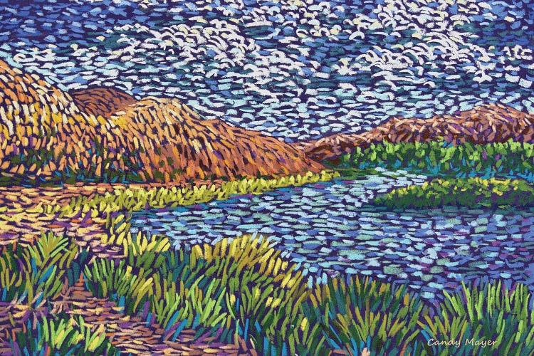 Rio Grande In El PasoI by Candy Mayer wall art