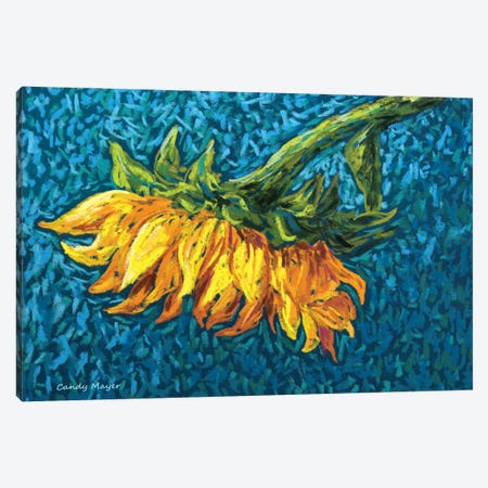 Lazy Sunflower Canvas Print #CMY119} by Candy Mayer Canvas Art Print