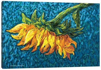 Lazy Sunflower Canvas Art Print - Candy Mayer