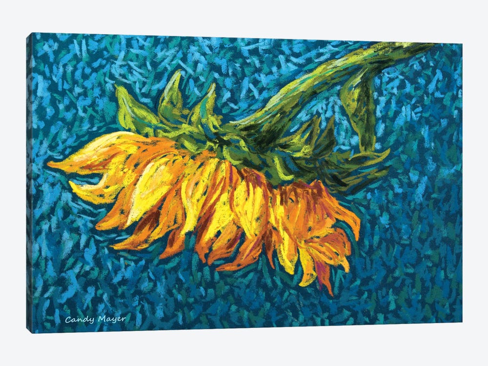 Lazy Sunflower by Candy Mayer 1-piece Canvas Art