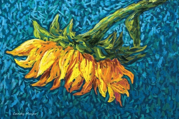 Candy Mayer: Lazy Sunflower by Candy Mayer